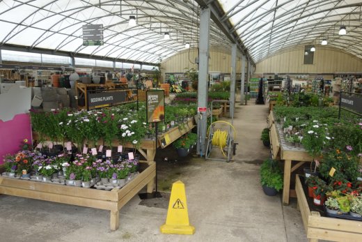 Area for tender plants at Dobbies Rugby