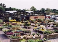 Plants area at Squires Garden Centre, Long Ditton